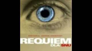 Requiem for a Dream  Requiem dla Snu [upl. by Ylesara]