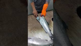 Knife sharpening and how to debone salmon [upl. by Eicram17]