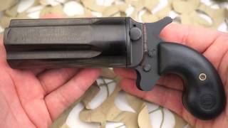 Leinad Cobray Pepperbox 5 Shot Derringer 410 45LC Overview  Texas Gun Blog [upl. by Havstad]