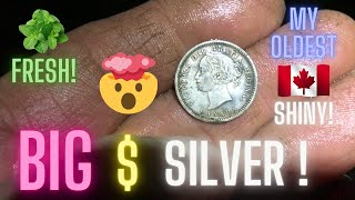 Big  Silver and my New Oldest Canadian Shiny [upl. by Waterer484]