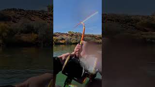 Idaho Sharks from a Kayak kayakfishing fishing bigfish nativewatercraft fish sturgeon fun [upl. by Llennehc9]