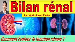 Interpréter un bilan rénal créatinine et urée Les Indicateurs Clés de la Santé de vos Reins [upl. by Ynnaffit49]