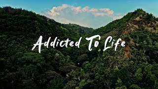 Kolohe Kai  Addicted to Life Official Music Video [upl. by Paske]