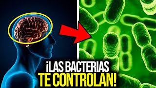 ¿Sabías que las BACTERIAS CONTROLAN TU CEREBRO  Descubre la conexión Intestino Cerebro [upl. by Enoved]