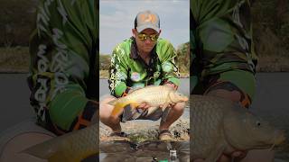 Golf course Fishing SAyoutubeshorts fishing viralvideo freshwaterfish carping [upl. by Enaek]