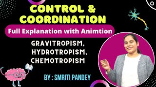 8 Gravitropism Hydrotropism Chemotropism in plants  Control amp coordination  Class 10 Biology [upl. by Tamah]