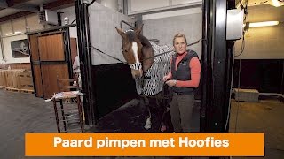 Paard pimpen met Hoofies  WINACTIE  PaardenpraatTV [upl. by Yci]