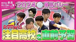 【春高バレー2024】開幕間近！注目高校を直前予習 〜女子Part1〜 [upl. by Tayib]