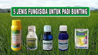 5 Jenis Fungisida Padi Bunting Yang Mengandung ZPT [upl. by Lamraj]