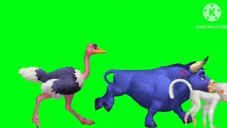 Animal Stampede Green screen cow giraffee dinosaurp green screen no copyright free video [upl. by Galatia]