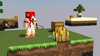 SKYWARS NO MEU SERVIDOR [upl. by Phillida]