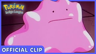 Duplica and Ditto  Pokémon Indigo League  Official Clip [upl. by Sonaj]