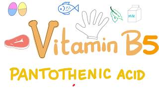 Vitamin B5 Pantothenic Acid 🥬🍗🍳 [upl. by Allit420]