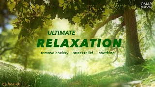 Heaven Relaxing Quran for stress relief relaxation and sleep [upl. by Dione529]