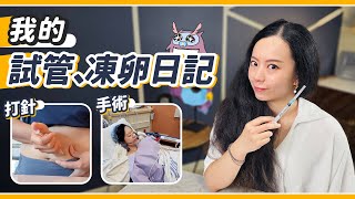 IVF試管嬰兒vlog！耗時五個月：取卵、打針、植入！想當媽媽要多辛苦😭 [upl. by Lacombe576]