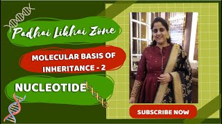 Molecular Basis of Inheritance2biology  neet2024education  molecularbasisofinheritancedna [upl. by Codd182]