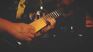 Novelists  Okapi  guitar solo cover [upl. by Kean]