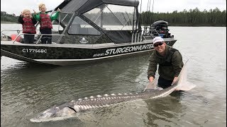 Fishing British Columbia Giant sturgeon camping and exploring WT part 12 [upl. by Laux675]