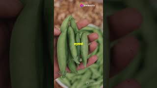 5 Amazing Sugar Snap Peas Facts You Didnt Know  shorts facts shortsfeed sugarsnappeas feed [upl. by Isis234]