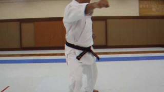 Israel Shotokan Eli Cohen Heian Sandan Slow [upl. by Takeo]