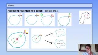 6 vwo  Afweer  2  Antigeenpresenterende cellen [upl. by Aroda]