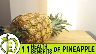 HOW TO PROTECT YOUR PINEAPPLES FROM CRITTERS [upl. by Valoniah]