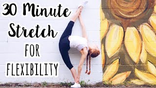 30 Minute Full Body Stretch for Flexibility [upl. by Asoramla]