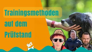 Entdecke die Geheimnisse des Hundetrainings Trainingsmethoden enthülltquot [upl. by Singhal]