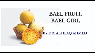 BAEL GIRI  BAEL FRUIT Aegle marmelos [upl. by Guillermo]