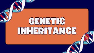 Genotype MC question [upl. by Lehcar374]