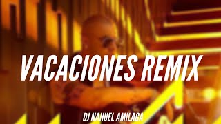 VACACIONES REMIX  Wisin  DJ Nahuel Amilaga [upl. by Salema]