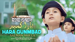 Hara Gumbad। হারা গুম্বাদ। Urdu Nasheed। উর্দু গজল। Salman molla  Al Amin Farabi [upl. by Yemrej]