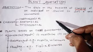 Plant AdaptationHydrophytesBriefly explained [upl. by Dmitri444]