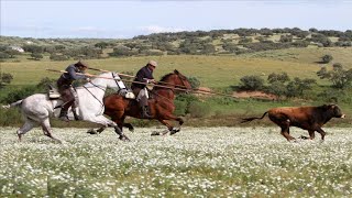 Acoso y Derribo Faenas De Campo [upl. by Abihsot]