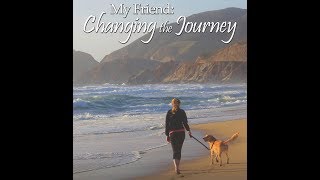 My Friend Changing the Journey [upl. by Xineohp]