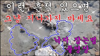 고수님께 배우는 낙지잡는법 풀영상 공개이것 보고 나도 낙지 잡았다catch a Octopus minor [upl. by Sonitnatsnoc]