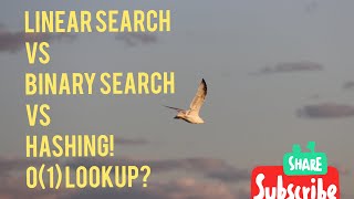 Hashing O1 lookup Explained [upl. by Heyer]