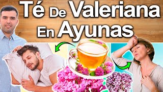 Té De Valeriana Para Todo  Para Qué Sirve  Beneficios Para Tu Salud Y Belleza [upl. by Macrae]