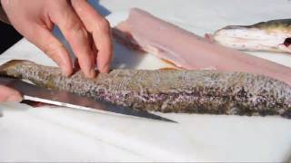 Hecht filetieren  How to filet pike or jackfish [upl. by Venn982]