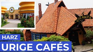 3 urige Cafes im Harz  Märchenhaftes Winuwuk ein Baumkuchenhaus und ein Königreich [upl. by Gill159]