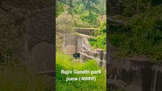 Rajiv Gandhi Zoological park pune pune bear [upl. by Sower]