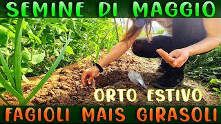 3 ORTAGGI DA SEMINARE A MAGGIO  FAGIOLI MAIS GIRASOLI  IDEE PER ORTO ESTIVO  Vlog Supertranquillo [upl. by Nylazor]