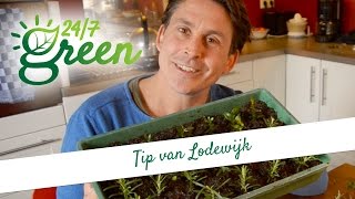 Tip van Lodewijk Stekken [upl. by Brookhouse]