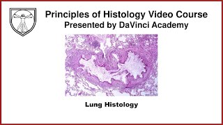 Lung Histology Respiratory Histology 2 of 2 [upl. by Benjamin193]