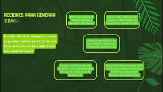 vida de ecosistemas terrestres [upl. by Hapte]