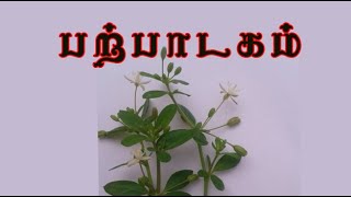 Mollugo cerviana பற்பாடகம் மருத்துவம் parppaadagam [upl. by Hynda]