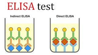 ELISA test [upl. by Brewster552]