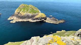 Skomer  Grassholm  Skokholm [upl. by Carrelli]