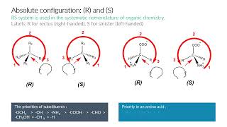 Optical activity of amino acids [upl. by Lucic147]