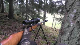 Metsäkauriin metsästystä hiipimällä amp houkuttelemalla  Roe deer hunting [upl. by Atsyrt]